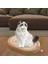 Kedi Tırmalama Tahtası Sisal Koruma Mobilya Koruyucu Davranışı Kedi Karton Stil A (Yurt Dışından) 4