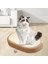 Kedi Tırmalama Tahtası Sisal Koruma Mobilya Koruyucu Davranışı Kedi Karton Stil D (Yurt Dışından) 2