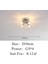 Modern, LED Sarkıınlatma Armatürü Ilı Lambalar Dört Sı (Yurt Dışından) 5