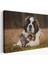 St. Bernard Köpek ve Yavru Kediler Dekoratif Kanvas Tablo 1124 1