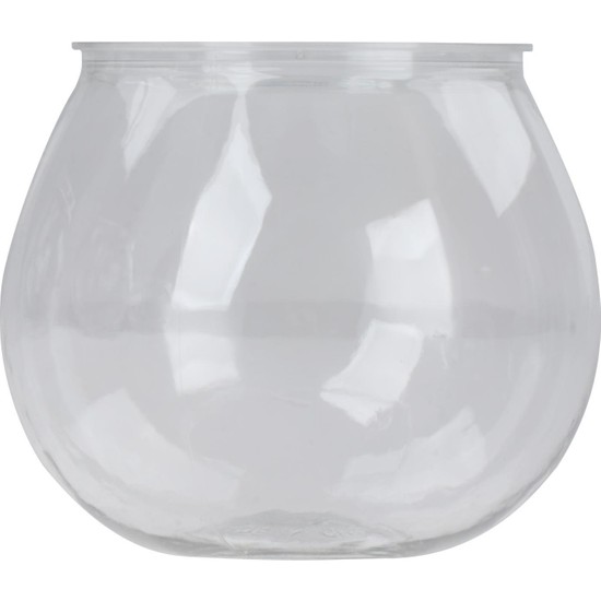 Betta-Aquarium: De Ideale Opzet en Verzorging voor je Betta Vis | Aquarium Brouwers