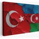 Seçili Renk Renkli