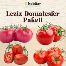 Genta Hobitar Leziz Domatesler Sebze Tohumu Paketi - 4 Çeşit Domates Tohumu