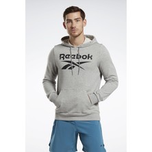 Reebok Rı Ft Big Logo Oth Gri Erkek Sweatshirt