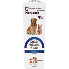 Finncare Kedi Köpek Multivitamin Paste Nefis Lezzetli Formül 100 ml