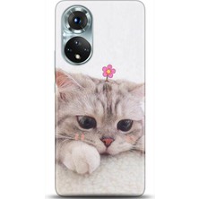 Adveksiyon Huawei Honor 50 Kılıf Hd Baskılı Kılıf - Followed Institution 0019