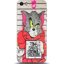 Adveksiyon Apple iPhone 5 / 5s Kılıf Hd Baskılı Kılıf - Followed Institution 0063