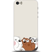 Adveksiyon Apple iPhone 5 / 5s Kılıf Hd Baskılı Kılıf - Followed Institution 0433