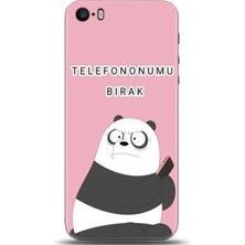 Adveksiyon Apple iPhone 5 / 5s Kılıf Hd Baskılı Kılıf - Followed Institution 0024