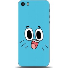 Adveksiyon Apple iPhone 5 / 5s Kılıf Hd Baskılı Kılıf - Followed Institution 0569