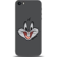 Adveksiyon Apple iPhone 5 / 5s Kılıf Hd Baskılı Kılıf - Followed Institution 0006