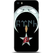 Adveksiyon Apple iPhone 5 / 5s Kılıf Hd Baskılı Kılıf - Followed Institution 0083