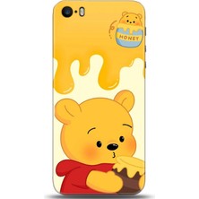 Adveksiyon Apple iPhone 5 / 5s Kılıf Hd Baskılı Kılıf - Followed Institution 0662