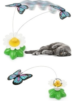 Hareketli Dönen Kelebek - Kedi Oyuncağı ( Pille Çalışır)