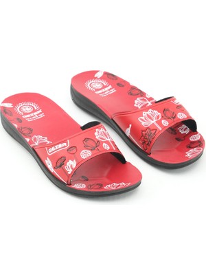 Gezer Yazlık Klasik Ince Taban Kadın Terlik