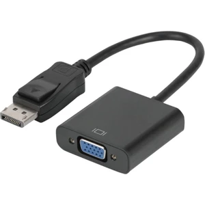 Powermaster PM-16261 Dısplay Port Erkek To VGA Dişi 10 cm Çevirici Kablo Siyah