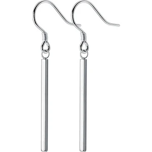 S925 Gümüş Kadın Uzun Çizgi Küpe (Yurt Dışından)