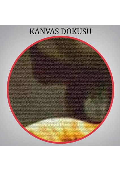 Siyah Kadın Baskılı Afrikalı Kadın Kanvas Duvar TABLOSU-5264 indirimleri