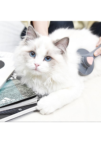 Top Pet Evcil Hayvan Tarama Fırçası -Çok Renkli (Yurt Dışından) fiyatları