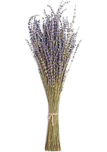 Ev Fotoğrafçılığı Çiçek Aranjmanları Için Buketi 250G (Yurt Dışından)