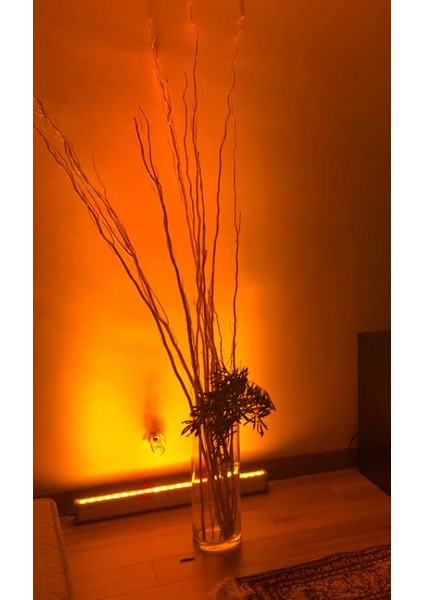 50 cm (18W) Amber Rengi Wallwasher Duvar, Ağaç ve Cami Boyama (Amber) indirimleri