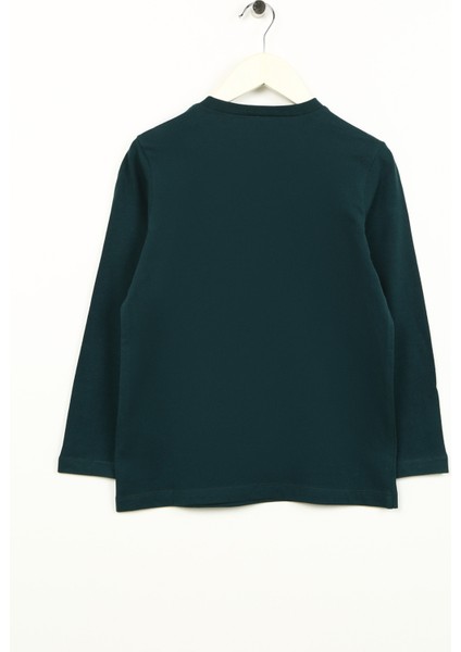 Yeşil Erkek Çocuk T-Shirt 4WKB10052TK fiyatları