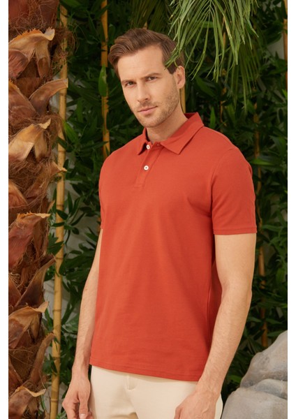 Erkek Basic Polo Yaka Tişört (Regular Fit) Kiremit
