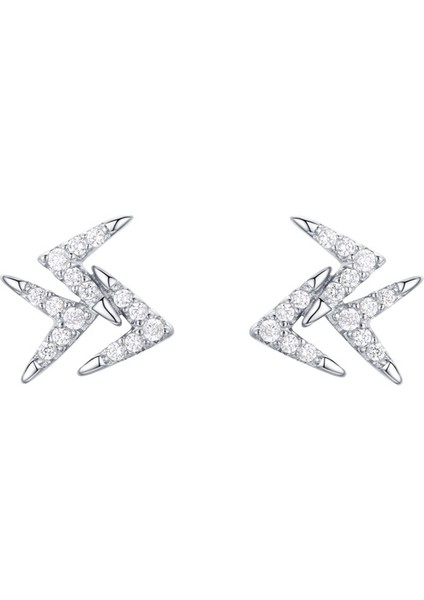 Tasarımlı S925 Ayar Gümüş Küpe (Yurt Dışından)