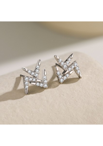 Tasarımlı S925 Ayar Gümüş Küpe (Yurt Dışından) fiyatları