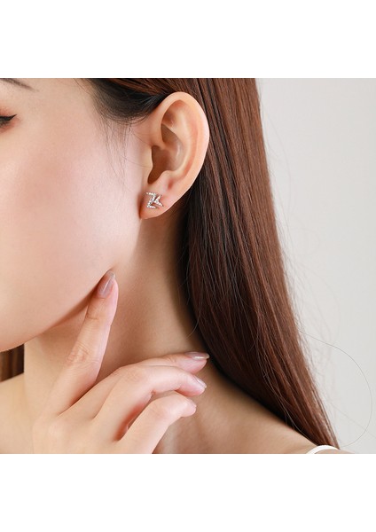 Tasarımlı S925 Ayar Gümüş Küpe (Yurt Dışından) modelleri