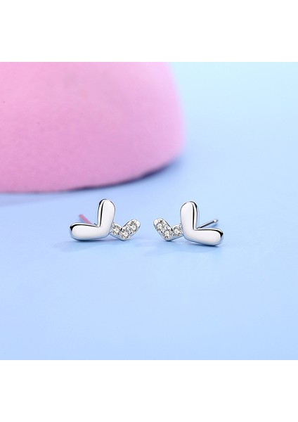 Gümüş Saplama Mizaç Yüz Eşleşen Aşk Si Küpe (Yurt Dışından) fiyatları