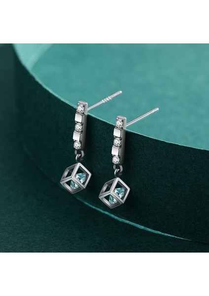 S925 Gümüş Küpe (Yurt Dışından)