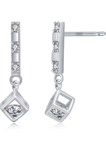 S925 Gümüş Küpe (Yurt Dışından) fiyatları