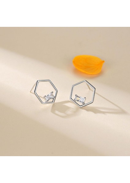 S925 Gümüş Altıgen Narin Zirkon Küpe (Yurt Dışından)