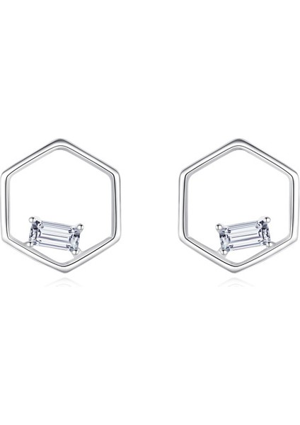 S925 Gümüş Altıgen Narin Zirkon Küpe (Yurt Dışından) fiyatları