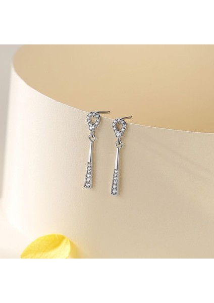 S925 Gümüş Bayan Yuvarlak Küpe (Yurt Dışından)