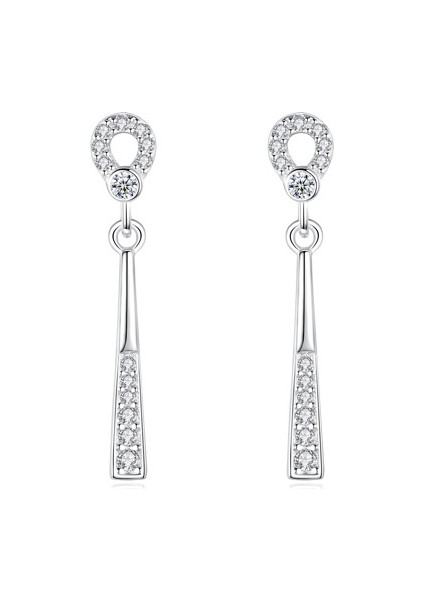 S925 Gümüş Bayan Yuvarlak Küpe (Yurt Dışından) fiyatları