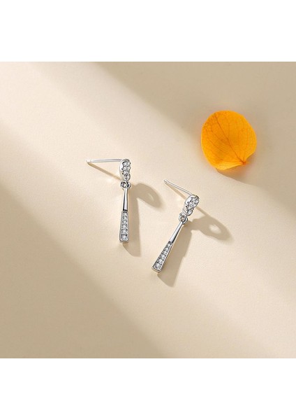 S925 Gümüş Bayan Yuvarlak Küpe (Yurt Dışından) modelleri