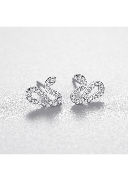 S925 Saf Yılan Gümüş Avrupa Amerika Birleşik Devletleri Rüzgar Küpe (Yurt Dışından) fiyatları