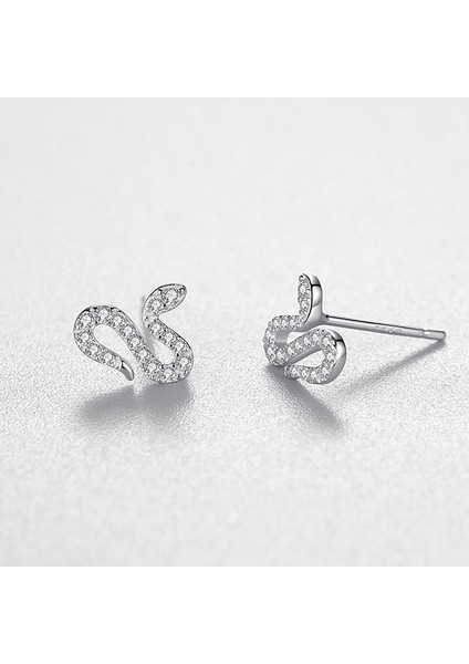 S925 Saf Yılan Gümüş Avrupa Amerika Birleşik Devletleri Rüzgar Küpe (Yurt Dışından) modelleri