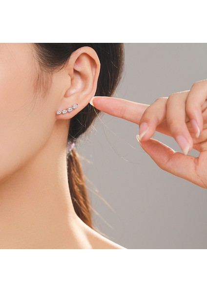 S925 Gümüş Gözyaşı Zirkon Küpe (Yurt Dışından) fırsatları