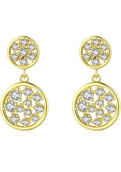 S925 Gümüş Premium Zirkon Taşlı Küpe (Yurt Dışından)