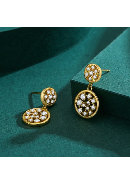 S925 Gümüş Premium Zirkon Taşlı Küpe (Yurt Dışından)