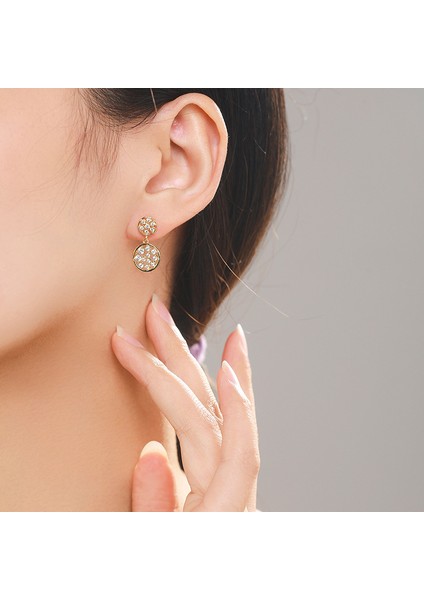 S925 Gümüş Premium Zirkon Taşlı Küpe (Yurt Dışından)