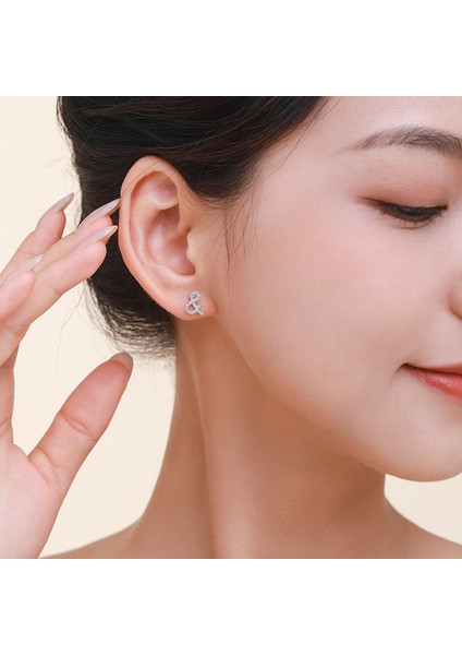 S925 Gümüş Sembol Çok Yönlü Küpe (Yurt Dışından) fırsatları