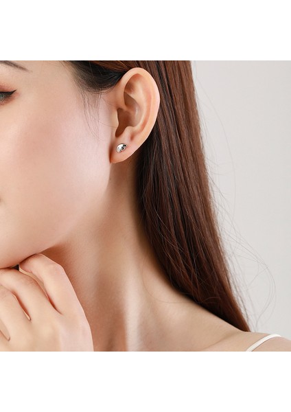 S925 Gümüş Mini Melek Tüyü Küpe (Yurt Dışından) fırsatları