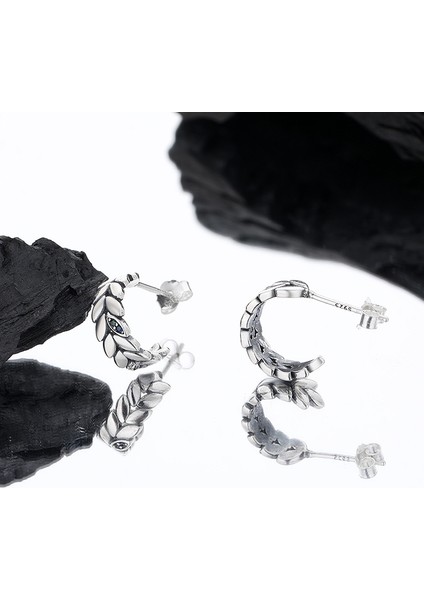 S925 Gümüş Retro Mizaç Küpe (Yurt Dışından)