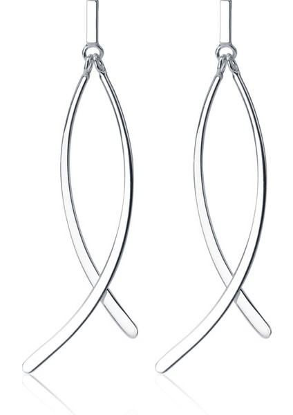 S925 Çizgi Püsküllü Çok Yönlü Küpe (Yurt Dışından) fiyatları