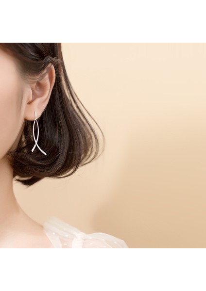 S925 Çizgi Püsküllü Çok Yönlü Küpe (Yurt Dışından) fırsatları