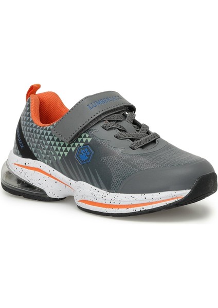 Eze Erkek Çocuk Gri Spor Ayakkabı fiyatları